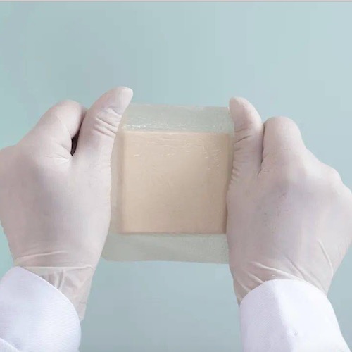 A quais tipos de bactérias o filme médico antibacteriano TPU resiste?